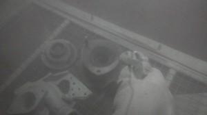 S1770014